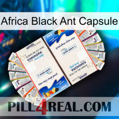 Africa Black Ant Capsule kamagra1